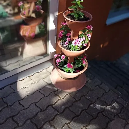 Pergola Panzio Гостевой дом