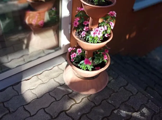 Pergola Panzió Casa de hóspedes