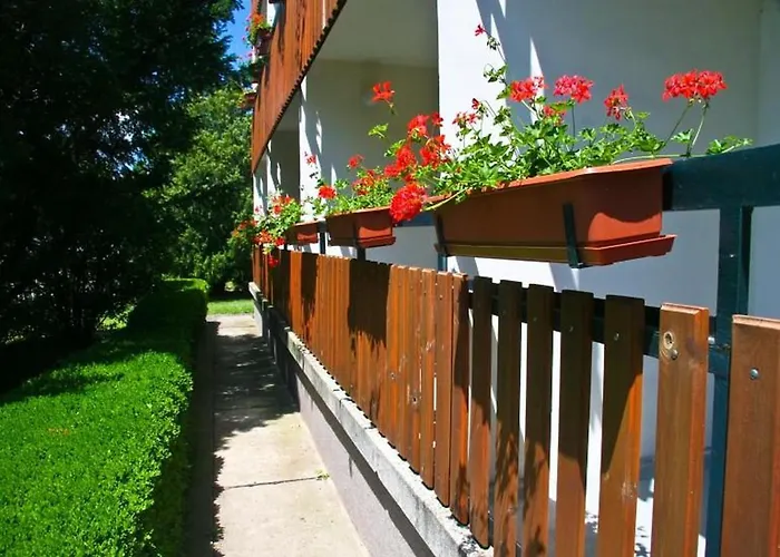 Casa de hóspedes Pergola Panzió